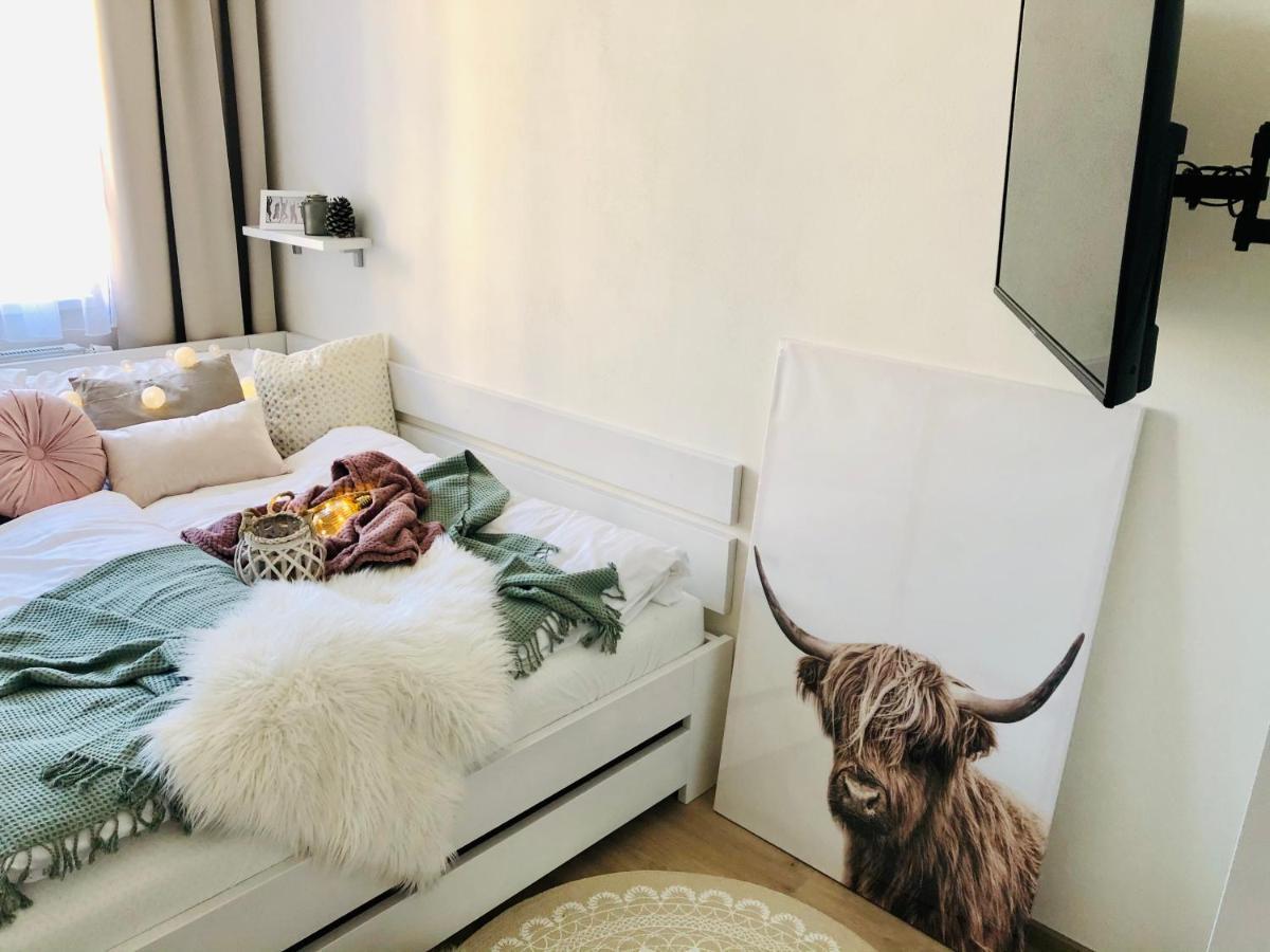 Rezidence Weisovka Apartman Ceske Budejovice Kültér fotó