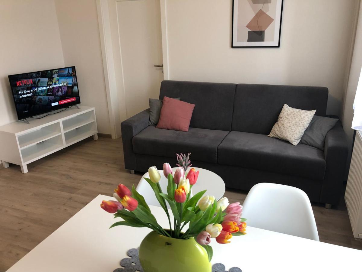 Rezidence Weisovka Apartman Ceske Budejovice Kültér fotó