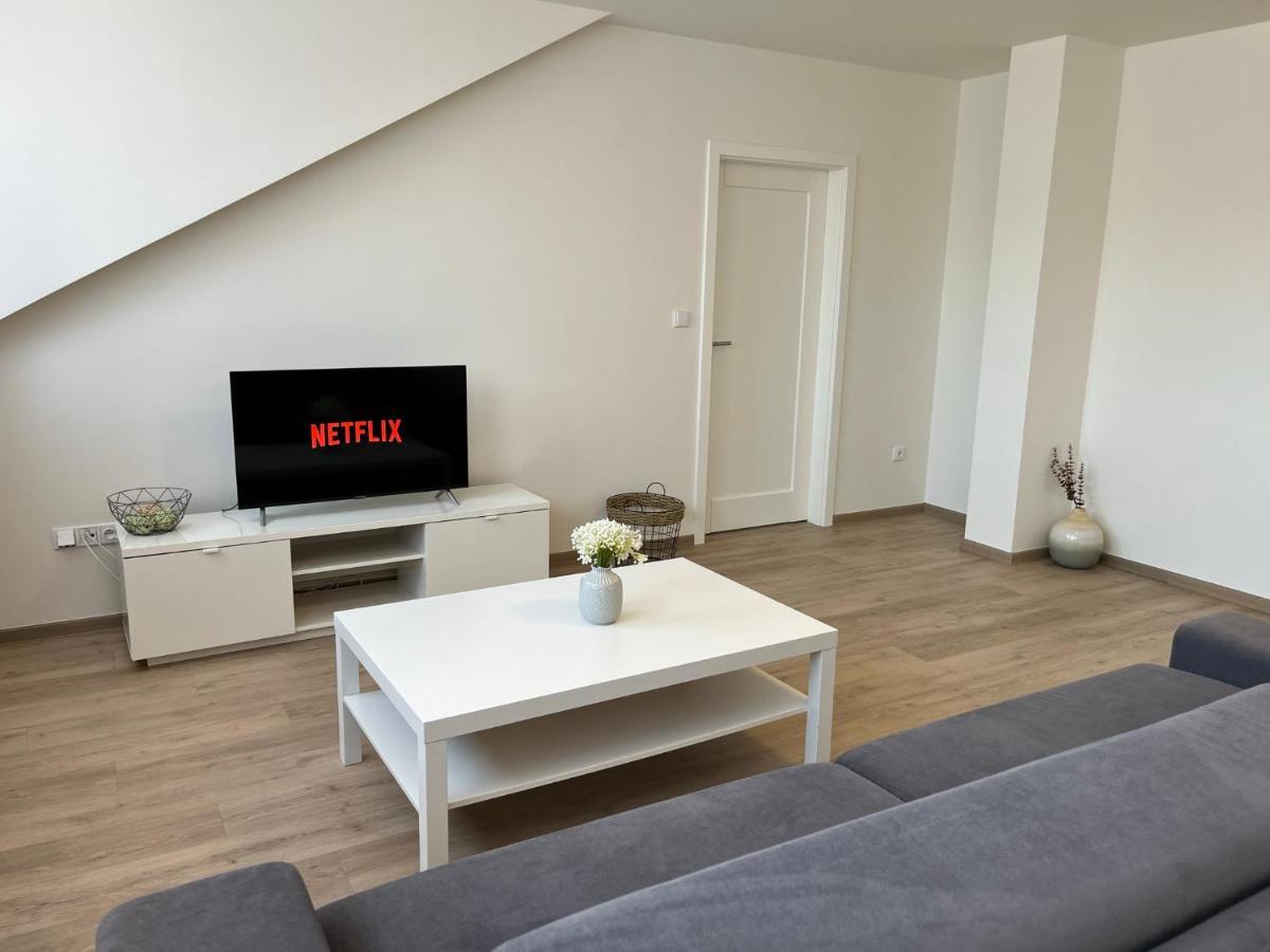 Rezidence Weisovka Apartman Ceske Budejovice Kültér fotó